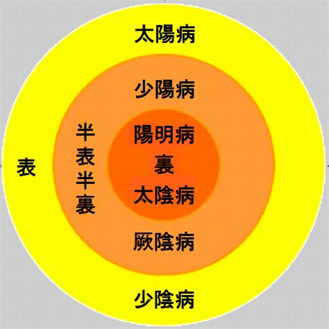 三陰三陽 日本|傷寒論の病位に就て